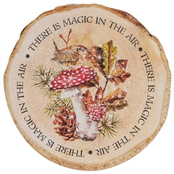 Woodland Mushrooms Wood Slice Sign - 2 Asstd