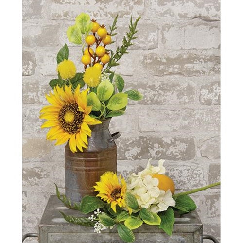 Sunflower & Lemon Pick 2 Asstd.