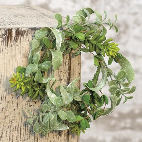 ring plant succulent Succulent Garden Ring 3.5"