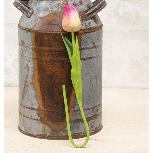 Foamy Tulip Bud Stem Pink & Green