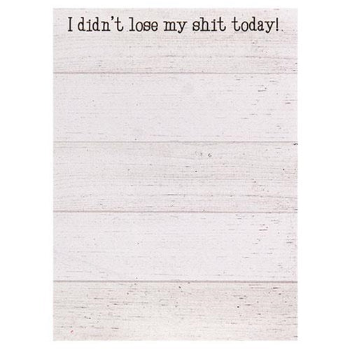 I Didn't Lose My Shit Today! Mini Notepad