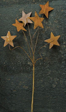Rusty Star Pick - 12"