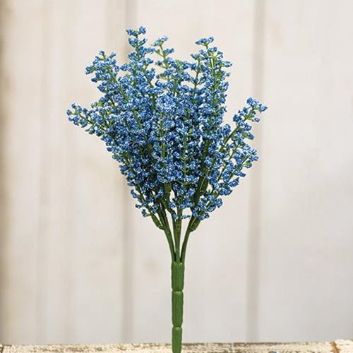 '+Bursting Astilbe Bush Sky Blue 10.5"