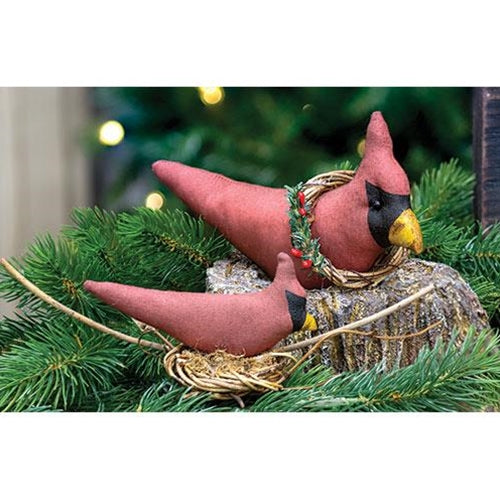 Nesting Cardinal