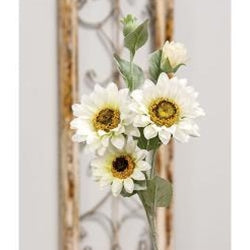Sunflower Blooms Spray White
