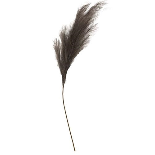 Weeping Pampas Grass Branch Gray