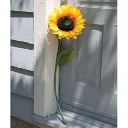 Giant Sunflower Stem