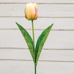 Champagne Tulip Stem 17.5"