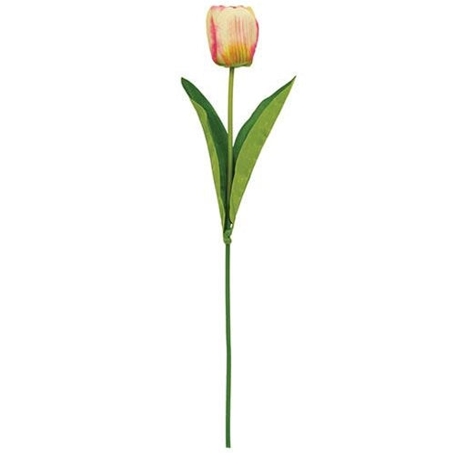 Champagne Tulip Stem 17.5"