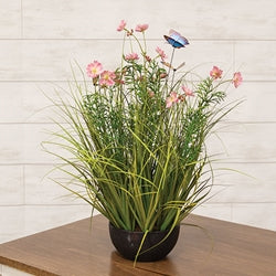 Potted Pink Cosmos w/ Onion Grass & Butterflies
