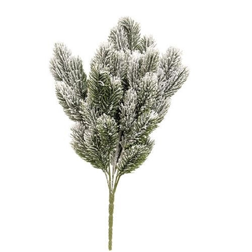 Snowy Pine Bush