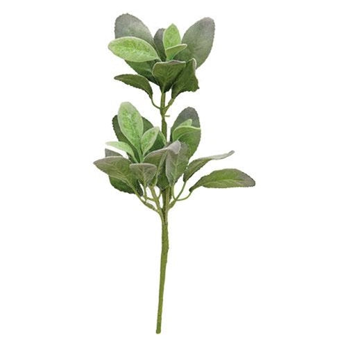 Lamb's Ear Pick