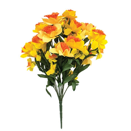 *Daffodil Bush 18" Orange