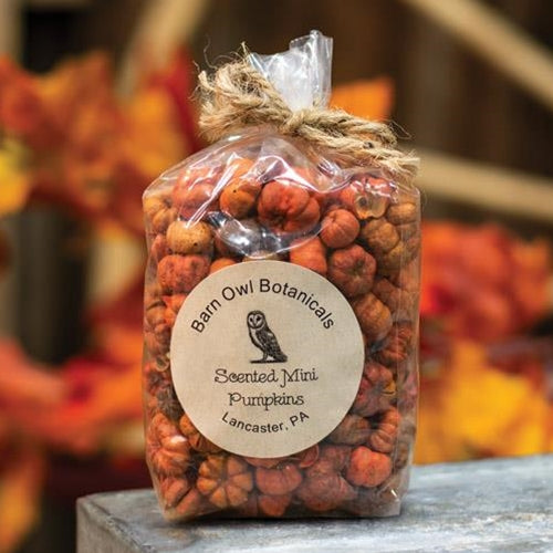 Scented Mini Pumpkins 3 Cups