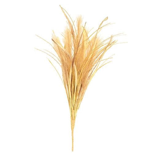 Pale Mellow Whisp Bush