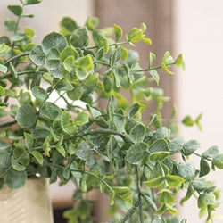 Dusty Mini Eucalyptus Hanging Bush - 32.5"
