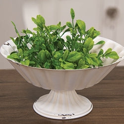 Fresh Sprouted English Boxwood Candle Ring - 1"