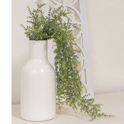 Icy Wild Asparagus Hanging Bush - 31"