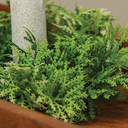 Forest Moss Candle Ring - 1"