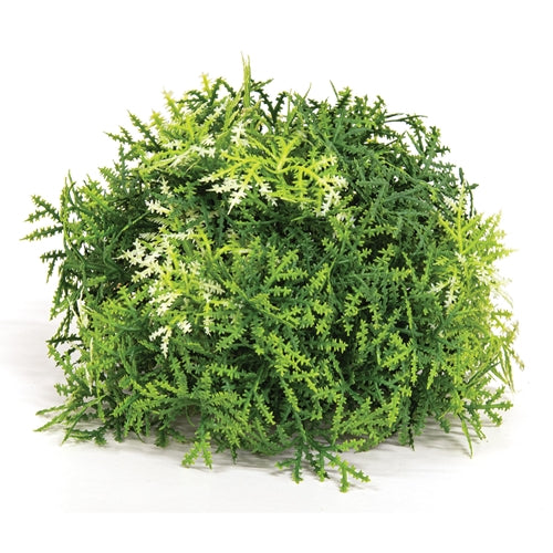 Forest Moss Half Sphere - 5"