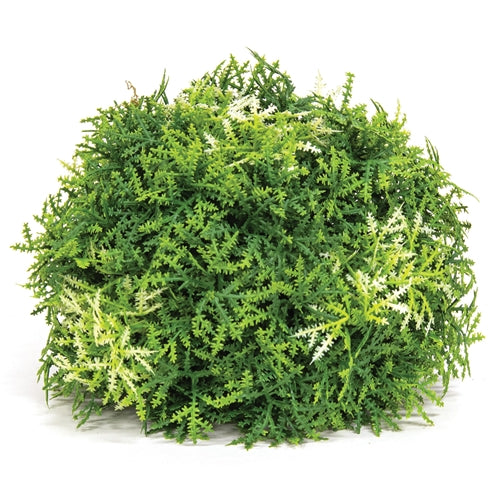 Forest Moss Half Sphere - 6"