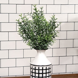 Dusty Rosemary Bush - 11.5"