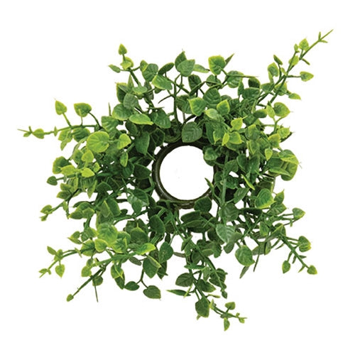 Verdant Baby Eucalyptus Candle Ring - 1"