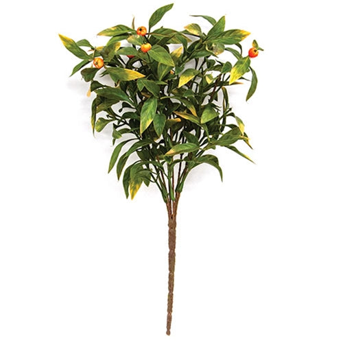Butcher's Broom & Berries Bush - 13"