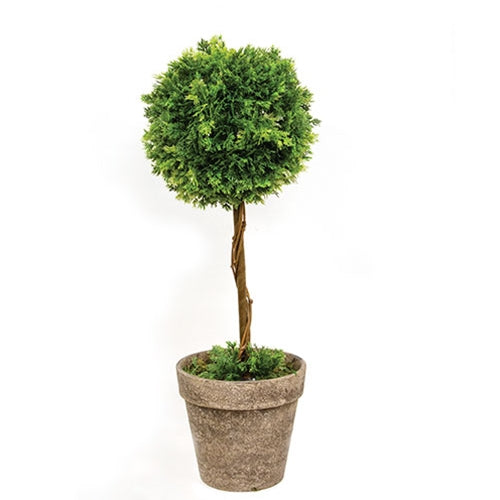 Potted Soft Touch Land Moss Topiary - 17"H