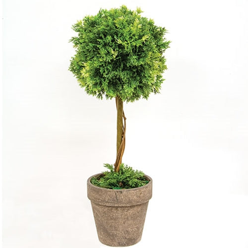 Potted Soft Touch Land Moss Topiary - 14.5"H