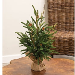 Soft Touch Austrian Pine Tree in Burlap Base - 19"H