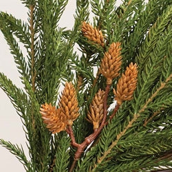 Soft Touch Austrian Pine Hanging Bush - 28"