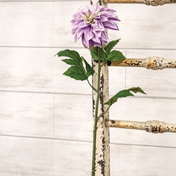 Purple Dahlia Stem - 24.5"