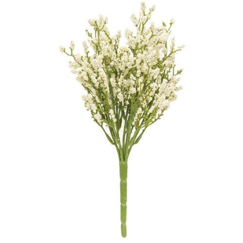 Array Astilbe Bush Cream