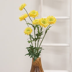 Yellow Strawflower Spray - 25"