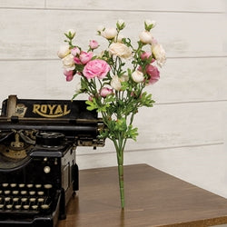Pink & Cream Ranunculus Bush - 18"