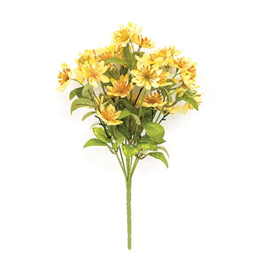 Teastain St. John's Wort Bush - 12.5"