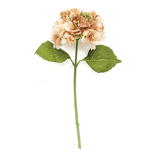 Fall Hydrangea Stem - 18" - Blush