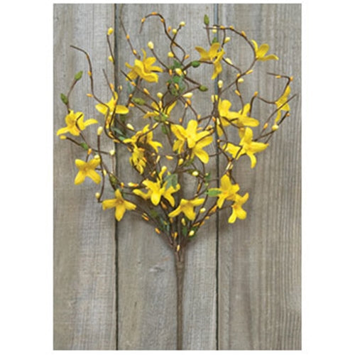 Star Forsythia Spray 18"