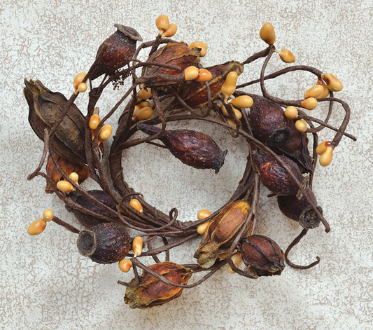 *Dried Rose Hip Ring - 2" Inside/6" Outside