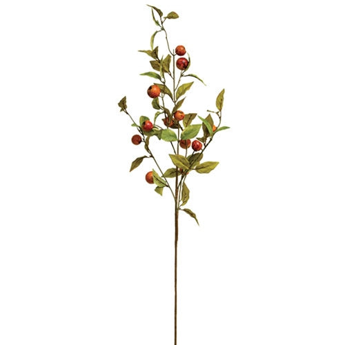 Crab Apple Branch 30"