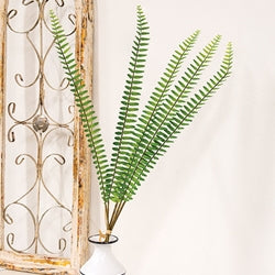 Sword Fern Bundle - 27"