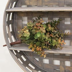 Baby Eucalyptus Bush - Olive Green - 13"