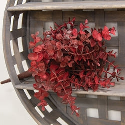 Baby Eucalyptus Bush - Burgundy - 13"