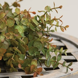 Baby Eucalyptus Wreath - Olive Green - 14"