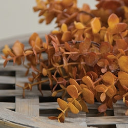 Baby Eucalyptus Wreath - Mustard - 14"