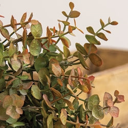 Baby Eucalyptus Wreath - Olive Green - 18"