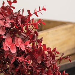 Baby Eucalyptus Wreath - Burgundy - 18"