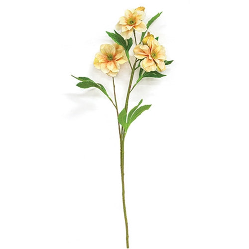 Apricot Scabiosa Spray - 25"