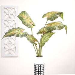 Perilla Leaf Speckled Bush - 24" Dark Green